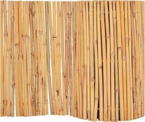 Bambusový plot 500 ×